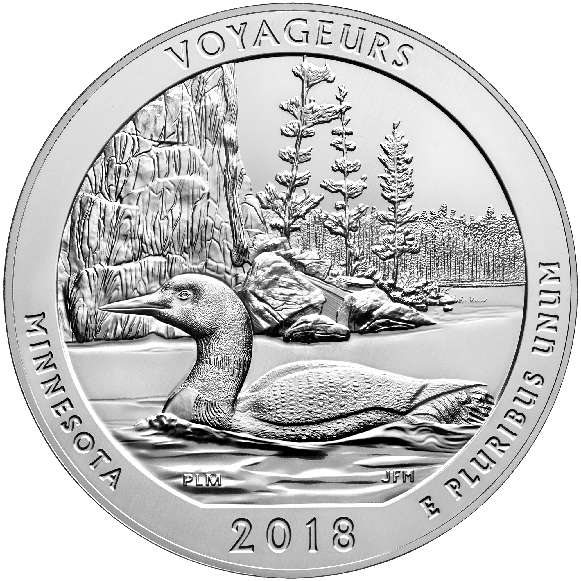 Same reverse, enlarged detail: Common loon