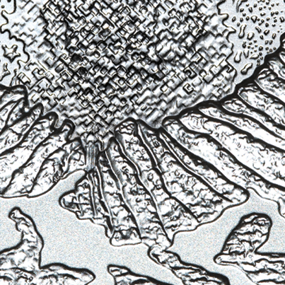 Same reverse, enlarged detail: The flow