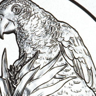 Same reverse, enlarged detail: The parrot