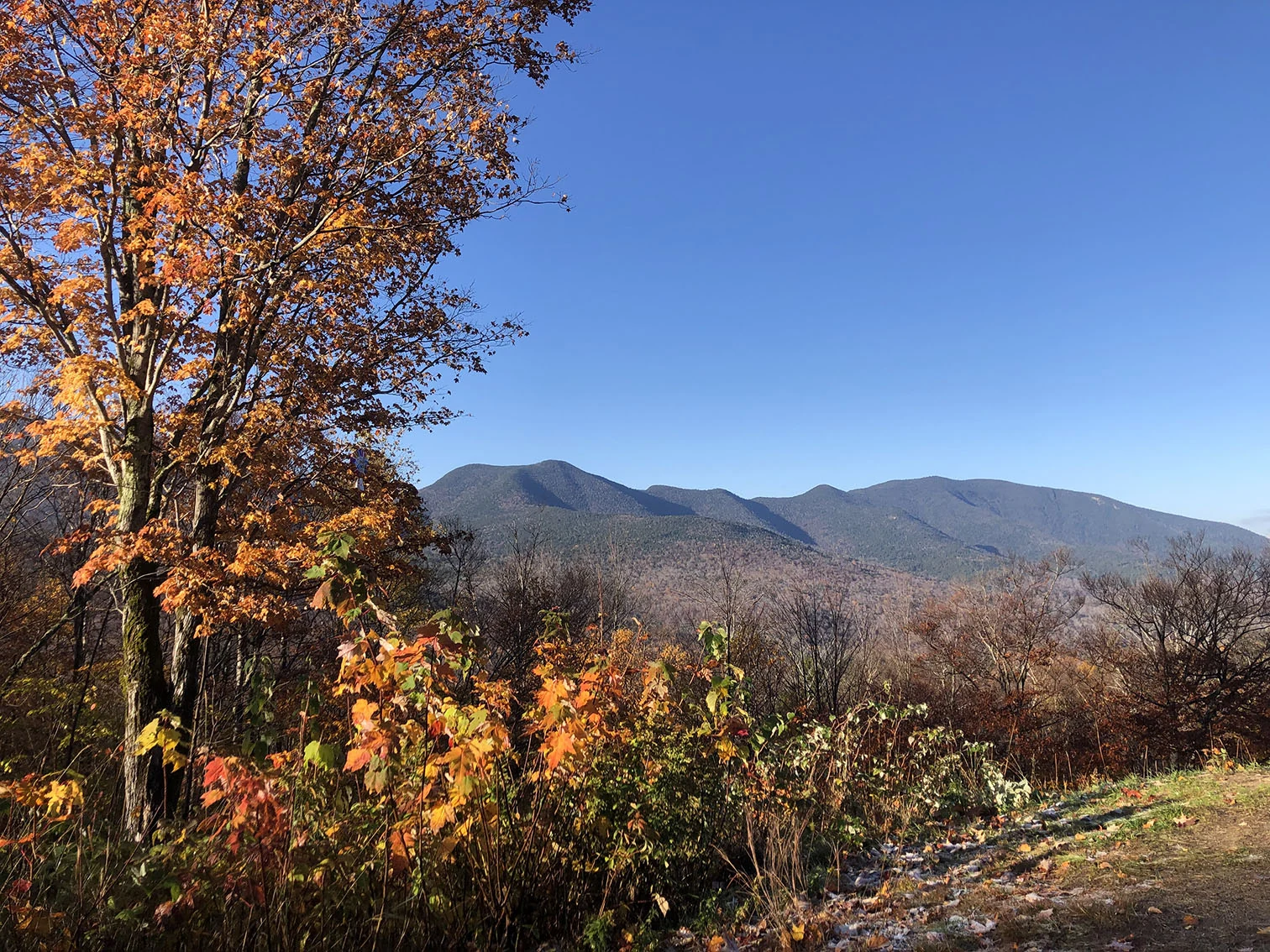Autumn trees and distant forest ridges at Hancock Overlook; not Mount Chocorua.