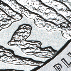 Same reverse, enlarged detail: The ground