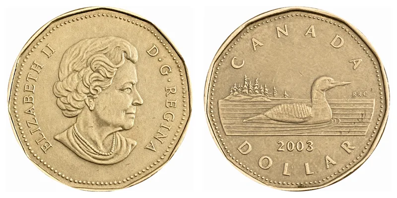 Loon Dollar (Loonie) obverse