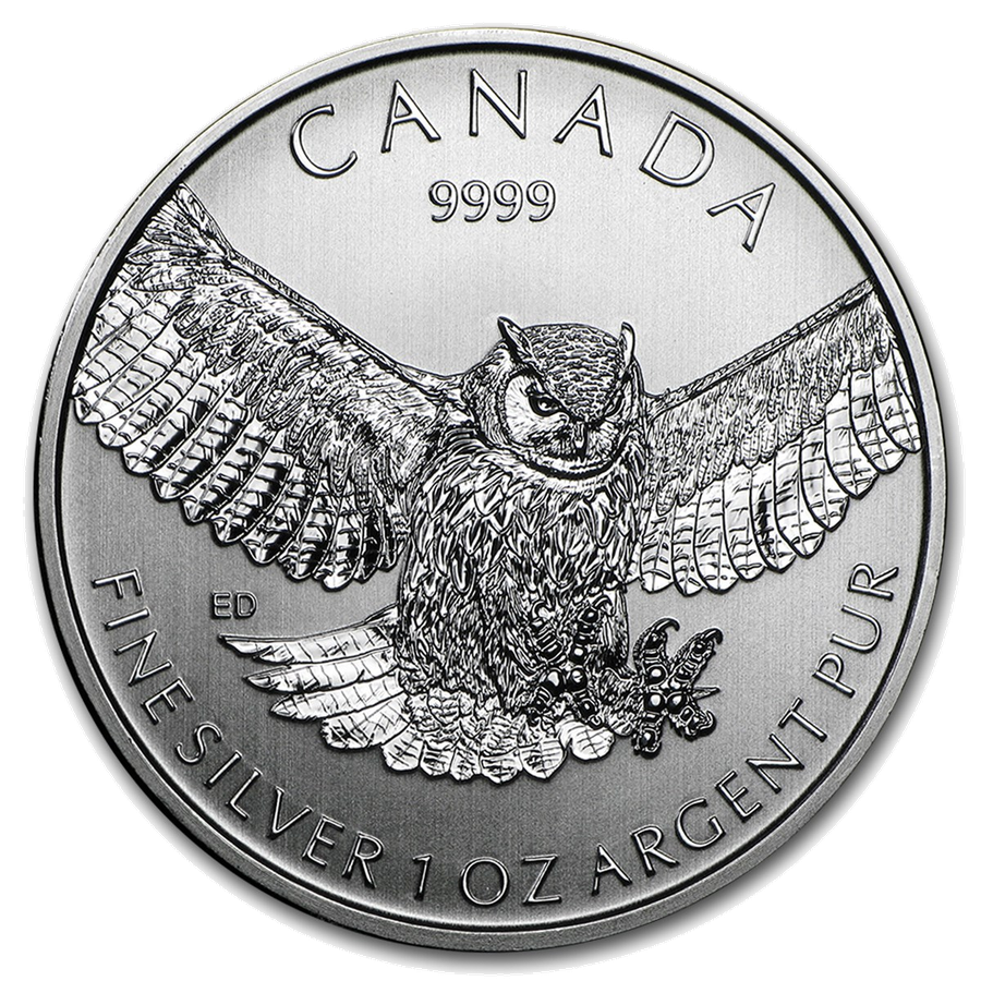 2015 Great Horned Owl reverse