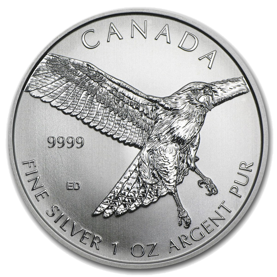 2015 Red-tailed Hawk reverse