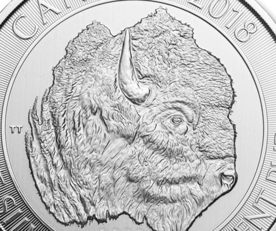 Exact detail crop of the 2018 bison portrait