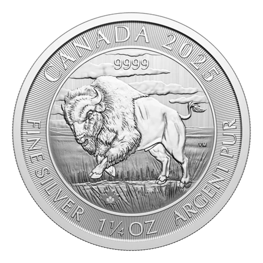Bison