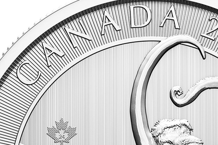 Radial field engraving detail