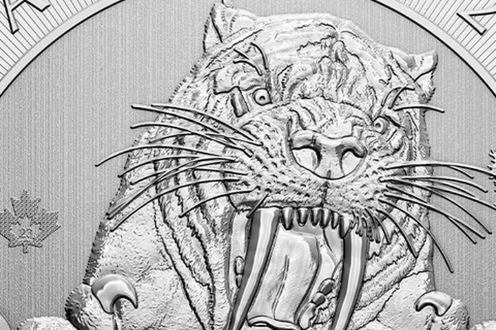 Canines and whisker lines engraving detail