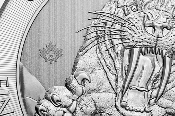 Maple-leaf year mark engraving detail
