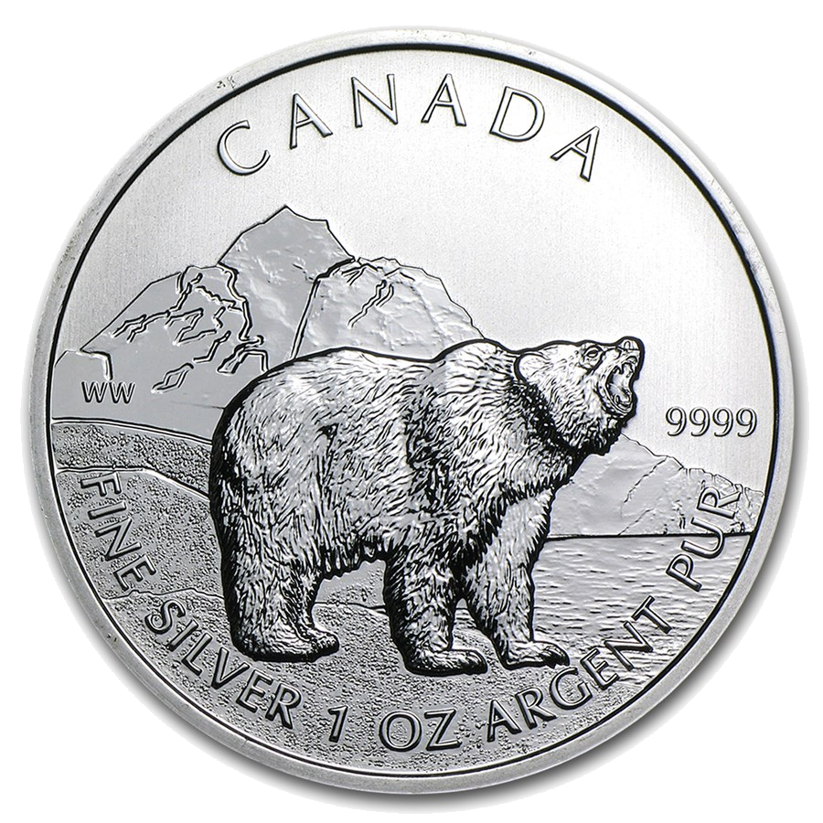 2011 Grizzly reverse