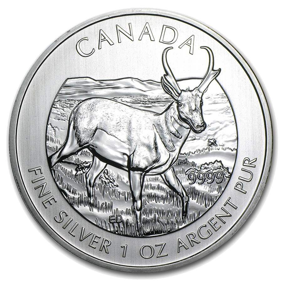 2013 Pronghorn reverse