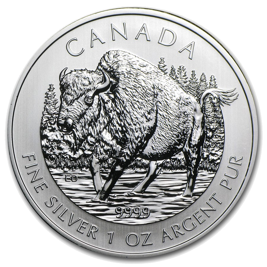 2013 Wood Bison reverse